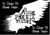 Rise Phoenix Rise Street Team Tri-Cities, TN profile picture