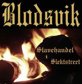 Blodsvik profile picture