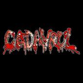 CADAVRUL profile picture