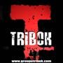 TRIBOK- En concert le 29 Novembre Ã  Guebwiller profile picture