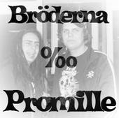 BrÃ¶derna promille profile picture