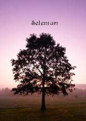 Selenium profile picture