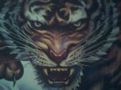 Eye of the Tiger profile picture