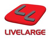 Livelarge Records profile picture