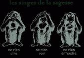 3singes