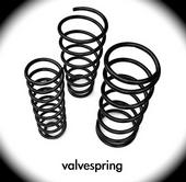 valvespring profile picture