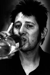 Shane MacGowan profile picture