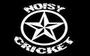 noisy cricket profile picture