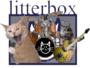 litterbox profile picture