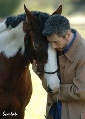 Horse and Writer / Skip Ewing profile picture