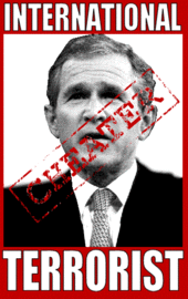 Bush profile picture