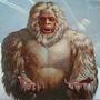 Yeti profile picture