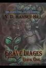 N. D. Hansen-Hill SF Fantasy Horror profile picture