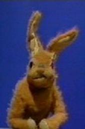 Hartley Hare profile picture