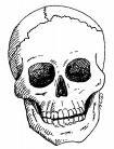 Mr. Skull profile picture