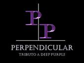 PERPENDICULAR - TRIBUTO A DEEP PURPLE profile picture