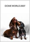 DOXIE WORLD profile picture