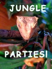 JUNGLE PARTIES profile picture