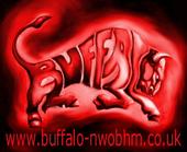 BUFFALO profile picture