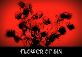 Flower of Sin profile picture