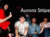 AURORA STRIPE profile picture