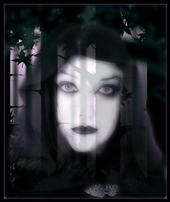 Vampyre Witch ~~A.O.D.~~ profile picture