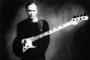 ~ BILLY SHEEHAN FAN PAGE~ profile picture