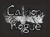 Carrion Rogue profile picture