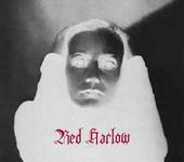 Red Harlow profile picture