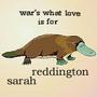 sarah reddington profile picture