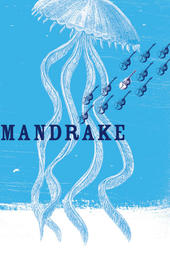 Mandrake profile picture