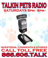 TALKIN PETS RADIO with host JON PATCH profile picture