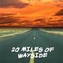 20 MILES OF WAYSIDE profile picture