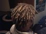 Urban Halo Dreadlocks and Braiding profile picture