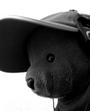 sweety teddy profile picture