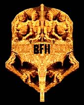 BFH profile picture