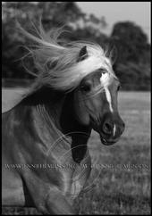 Jennifer Munson Photography profile picture