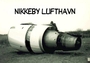 nikkeby lufthavn profile picture