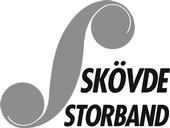 SkÃ¶vde Storband profile picture