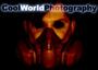 Cool World Photography profile picture