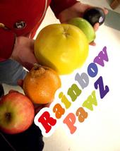 Rainbow Pawz profile picture