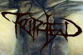 Triphead (New Live Videos) profile picture