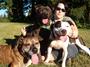 Pacific Northwest Pit Bull Rescue profile picture