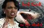 Feed Condi Rice to the Sharks profile picture