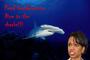 Feed Condi Rice to the Sharks profile picture