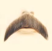 moustachus