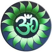 Om Festival profile picture