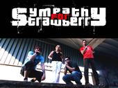 sympathy for strawberry (working on NEW ALBUM) profile picture