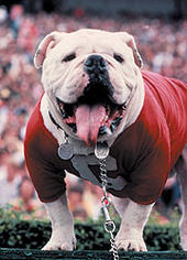 uga1dawg