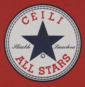 The Ceili Allstars profile picture